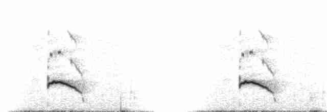 Magellanic Plover - ML204017011