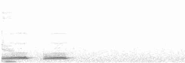 Кукушечья иглоногая сова - ML204017161