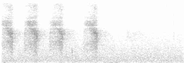 hvitnakkehonningeter - ML204017411