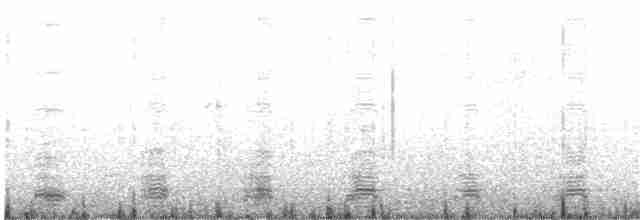 Ibis à cou noir - ML204017471