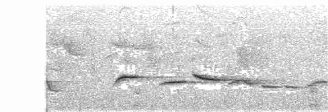 Papamoscas Azulado (unicolor) - ML204017671