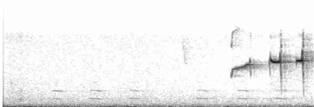 Патагонская трясохвостка - ML204018181