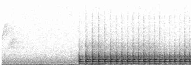 hvitbrynsvartspett - ML204018551