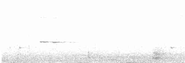 flekkdiamantfugl (punctatus) - ML204018751