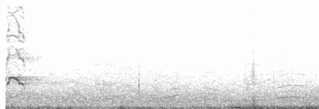Длинноклювый кулик-сорока - ML204018851