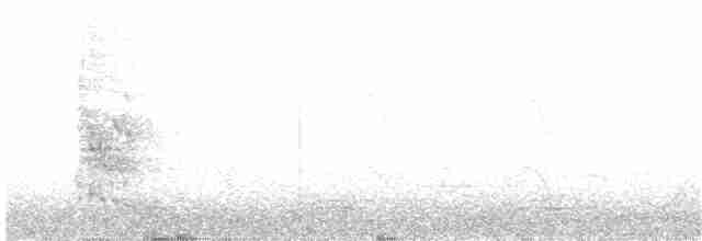 Дідрик смугастощокий (підвид lucidus) - ML204018881
