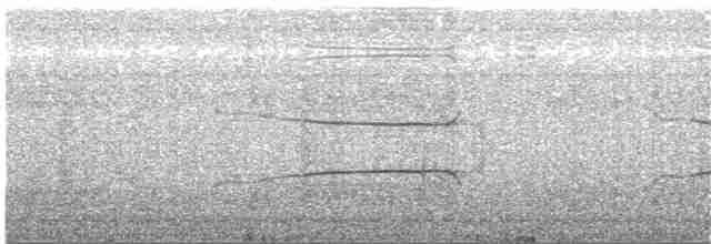 Balık Kartalı (cristatus) - ML204019181