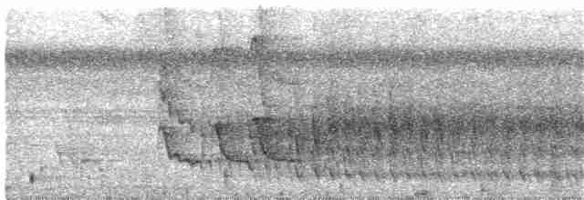 Antriade roussâtre - ML204019271