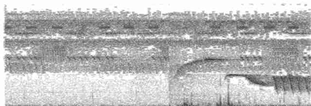 Jacamar oreillard - ML204019281