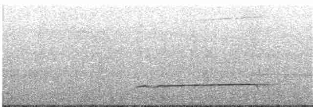 Strichelfaulvogel (torridus) - ML204019571