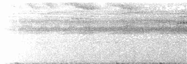 Graubrust-Ameisendrossel [analis-Gruppe] - ML204020311
