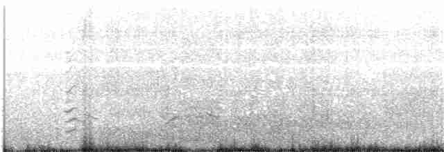 Maoriregenpfeifer (aquilonius) - ML204020851