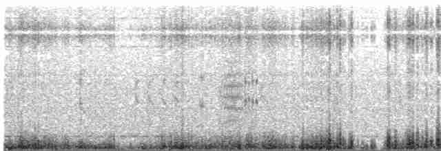 Singing Bushlark (Australasian) - ML204020971