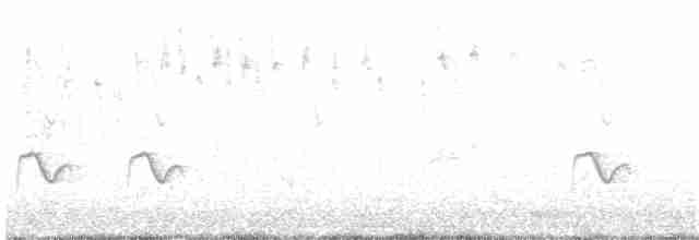 ウスズミモリツバメ - ML204021141