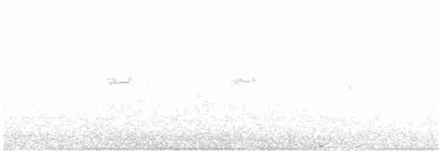 Graumantel-Brillenvogel - ML204021221