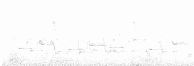 Kara Yakalı Balkuşu - ML204021231