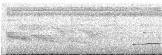 Musician Wren (Gray-flanked) - ML204021341