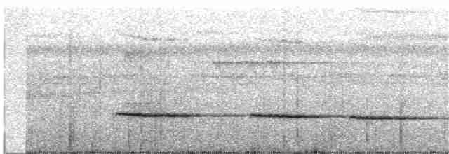 Соловьиный крапивник [группа marginatus] - ML204021351