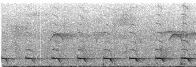 Surukua Trogonu (aurantius) - ML204021741