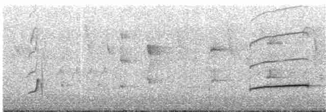 Тиран-крихітка світлогорлий - ML204021771
