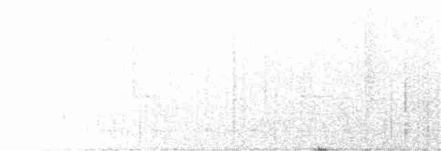 Черногорлый арасари - ML204022131