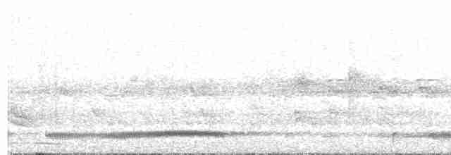 Hispaniolanachtschwalbe - ML204022751