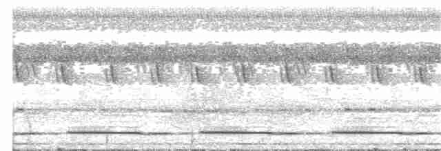 Зозуля-довгохвіст оливкова - ML204022941