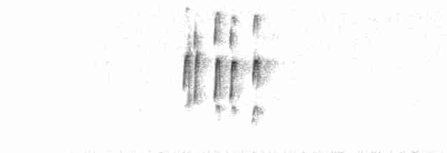Zimtspiegel-Meisenschlüpfer (pallida) - ML204023541