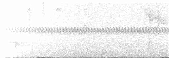Буроголовая атлапета - ML204023641