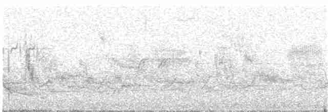 žluna šedá (ssp. canus/jessoensis) - ML204023691