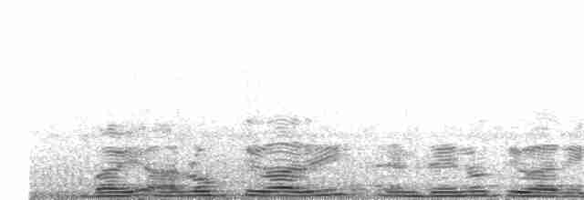 Сибирский черноголовый чекан [группа maurus] - ML204023781