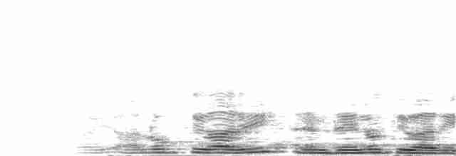 Bulbul Negro (grupo psaroides) - ML204024471