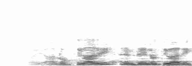 Büyük Islıkçı Bülbülü [flavirostris grubu] - ML204024601