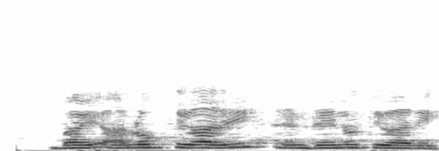 Lavandera Cetrina (de dorso negro) - ML204025651