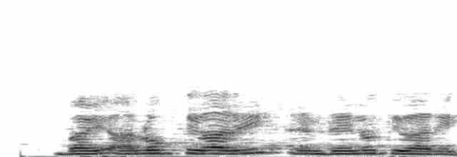 紅胸啄花(ignipectus群) - ML204026431