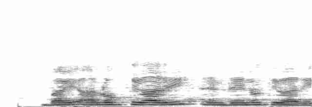 Щетинистая долгохвостка - ML204027261
