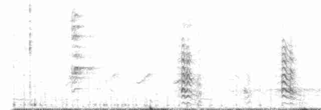 Black-headed Woodpecker - ML204027481
