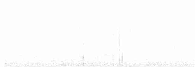 White-eared Honeyeater - ML20406641