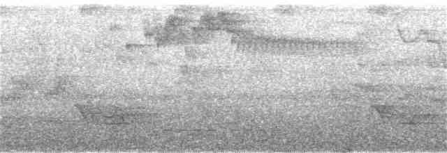 Gray-mantled Wren - ML20439681