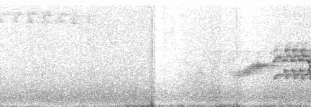Бурый x Пестрогорлый соловьиный дрозд (гибрид) - ML204463