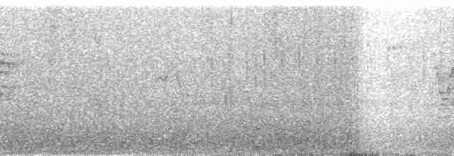 Бурый x Пестрогорлый соловьиный дрозд (гибрид) - ML204465