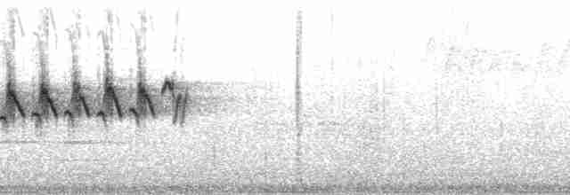 Пісняр-лісовик жовтогузий (підвид coronata) - ML204549