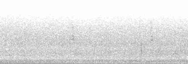 גיבתונית רוננת - ML204587