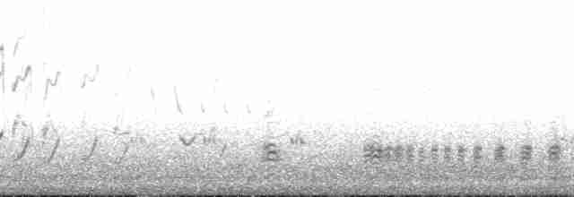 Boğmaklı Ardıç (torquatus) - ML204595