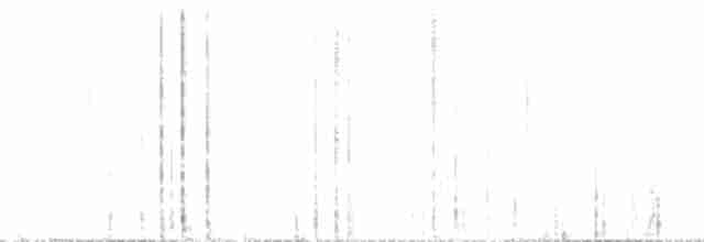 Желтоклювый альбатрос (chlororhynchos) - ML204734