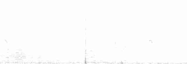 Желтоклювый альбатрос (chlororhynchos) - ML204742