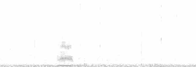 Желтоклювый альбатрос (chlororhynchos) - ML204744