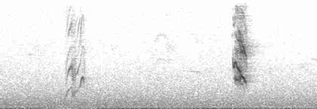 Найтингейлский овсяночник - ML204753