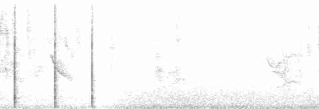 Желтоклювый альбатрос (chlororhynchos) - ML204754