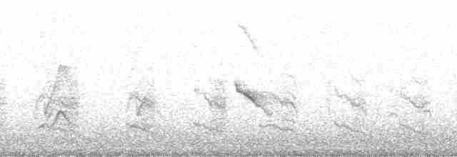 Yal de las Islas Ruiseñor - ML204755